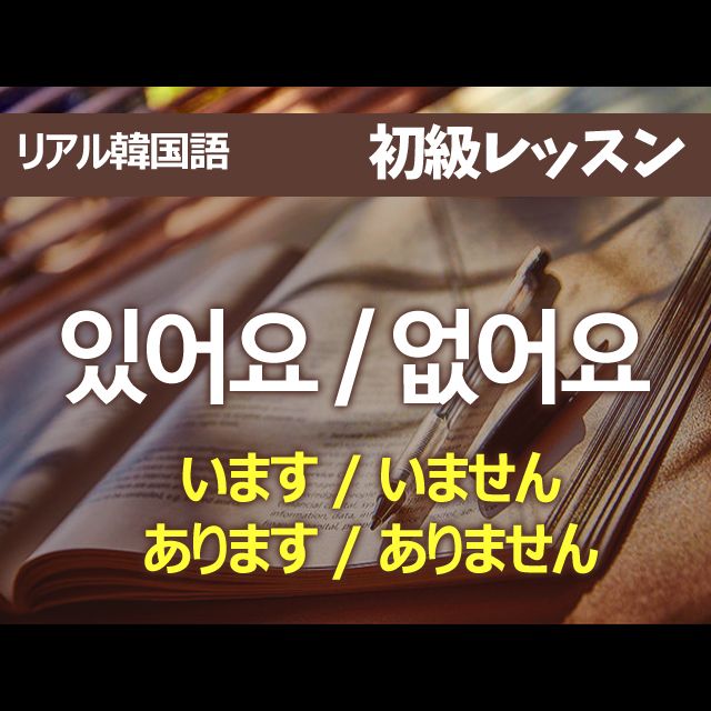 【初級04】 있어요 / 없어요 (います / いません, あります / ありません)