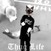 2Pac Vs Dr Dre & Snoop Dogg - Thug 4 Life Still Dre (Estilerk Mashup)