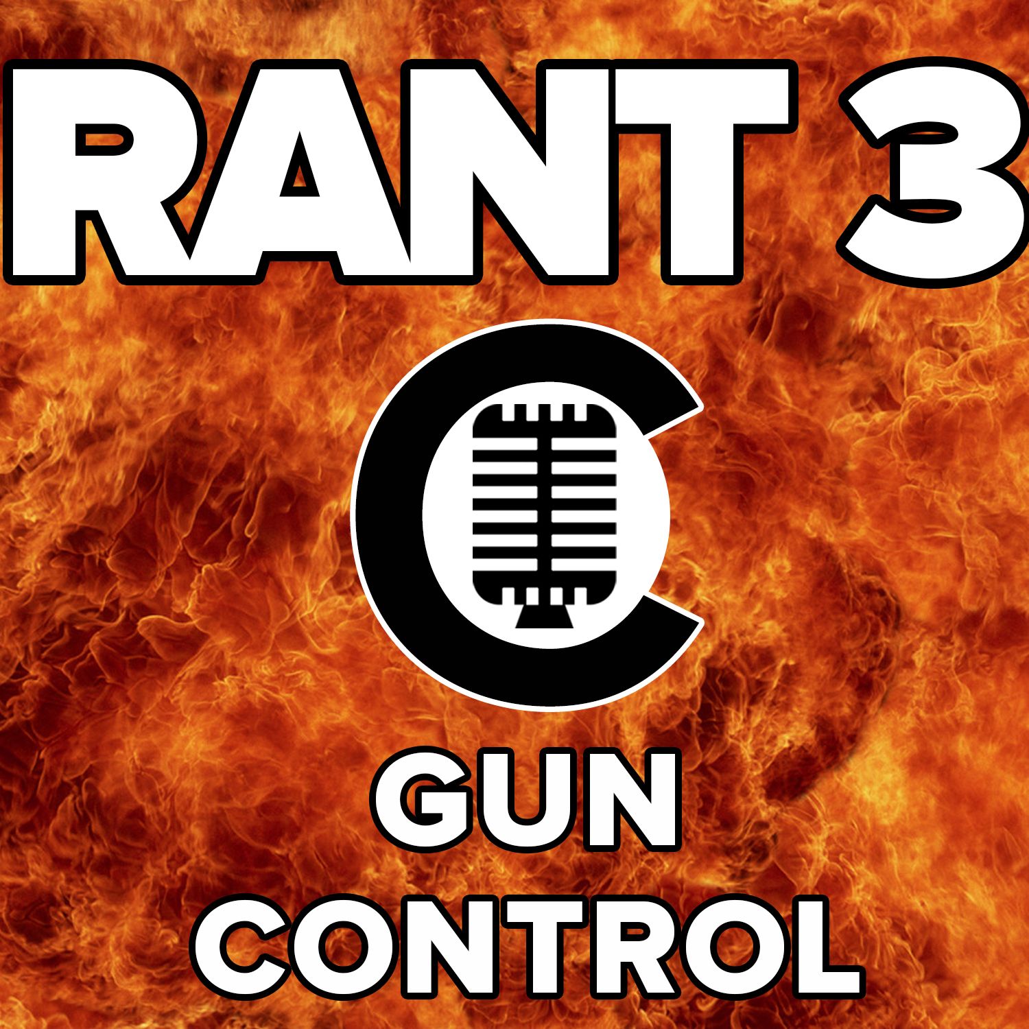 RANT #3: Gun Control by James