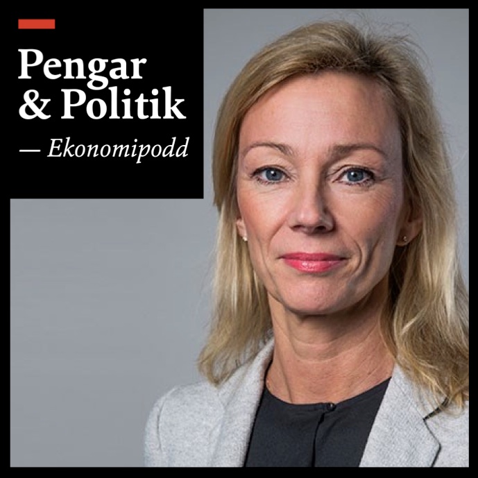 Pengar och Politik