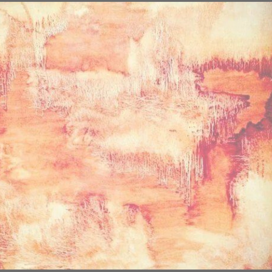 Cooking Stories - Natalie DeFour