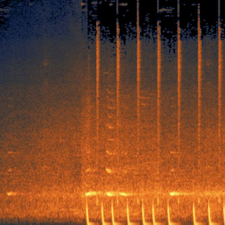 The Global Lab - Signal to Noise