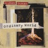 Duran Duran Ordinary World Cover Mp3