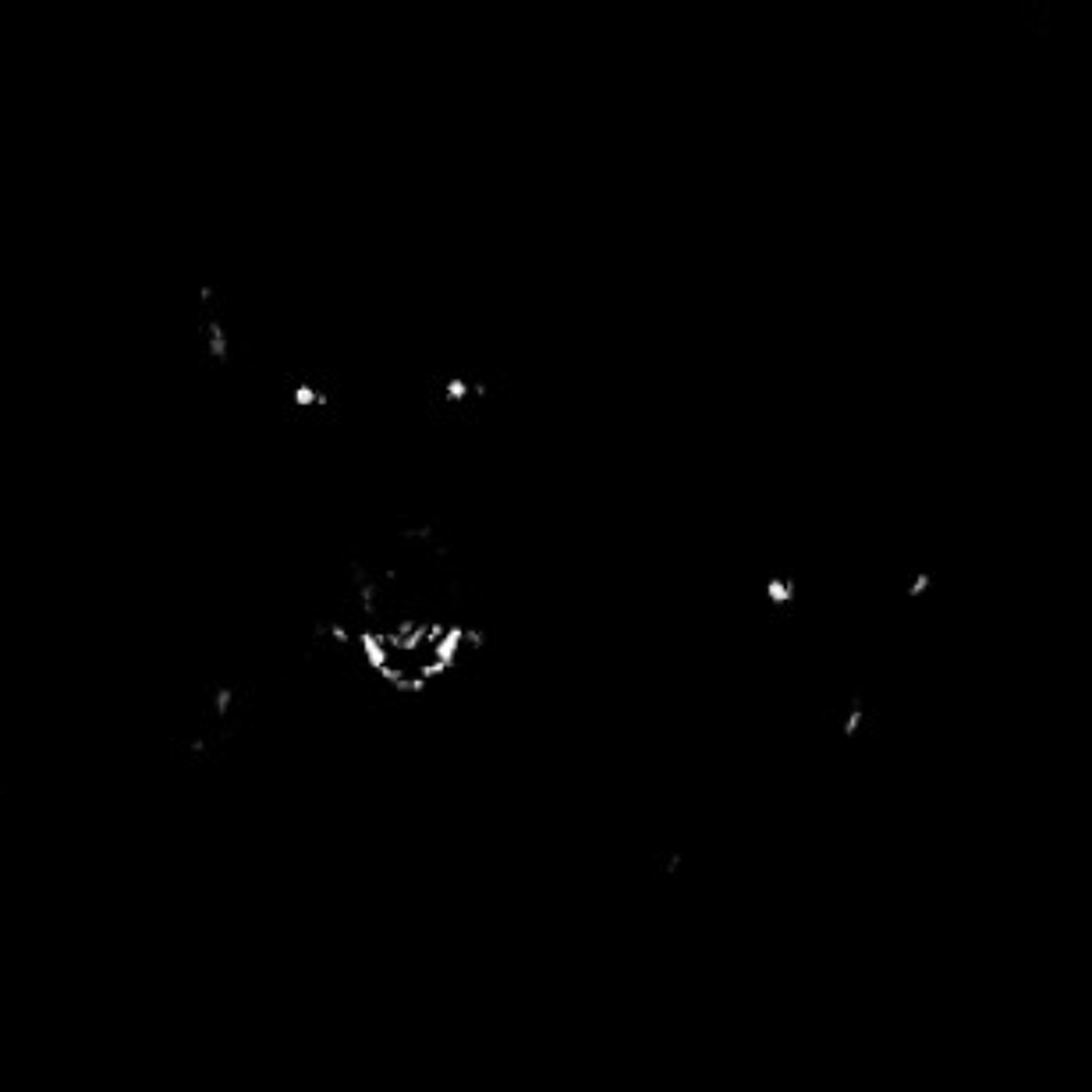 Freaky Session 003