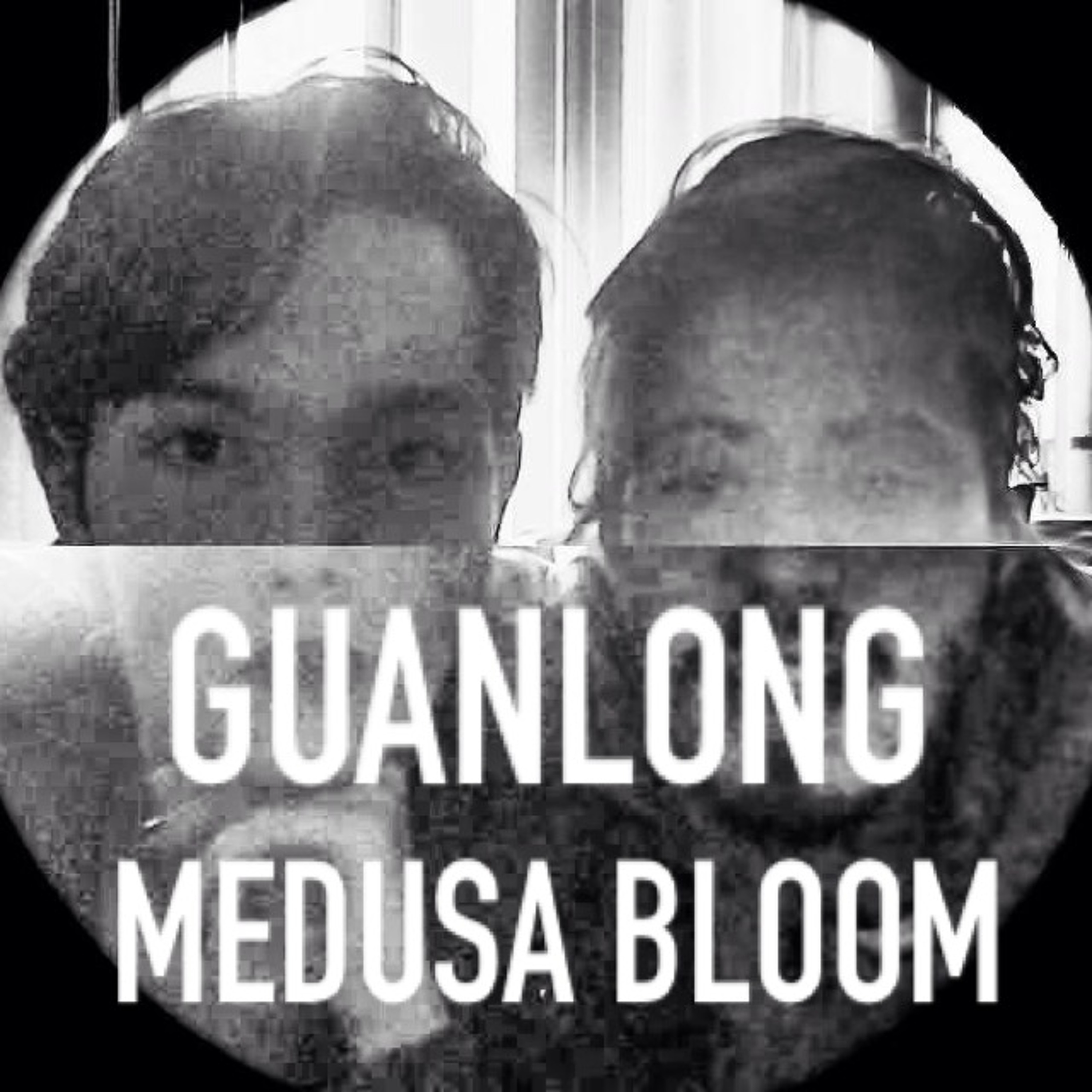 Medusa Bloom
