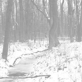 Jordi Alonso: Forecast