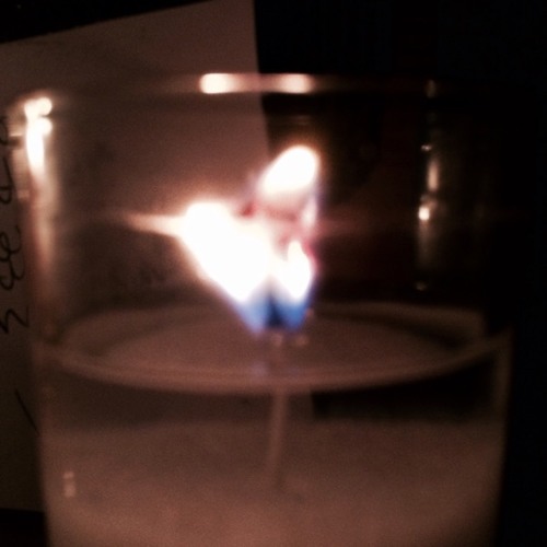 The Fallen Angels x Anne Sexton The Fallen Angels x Anne Sexton