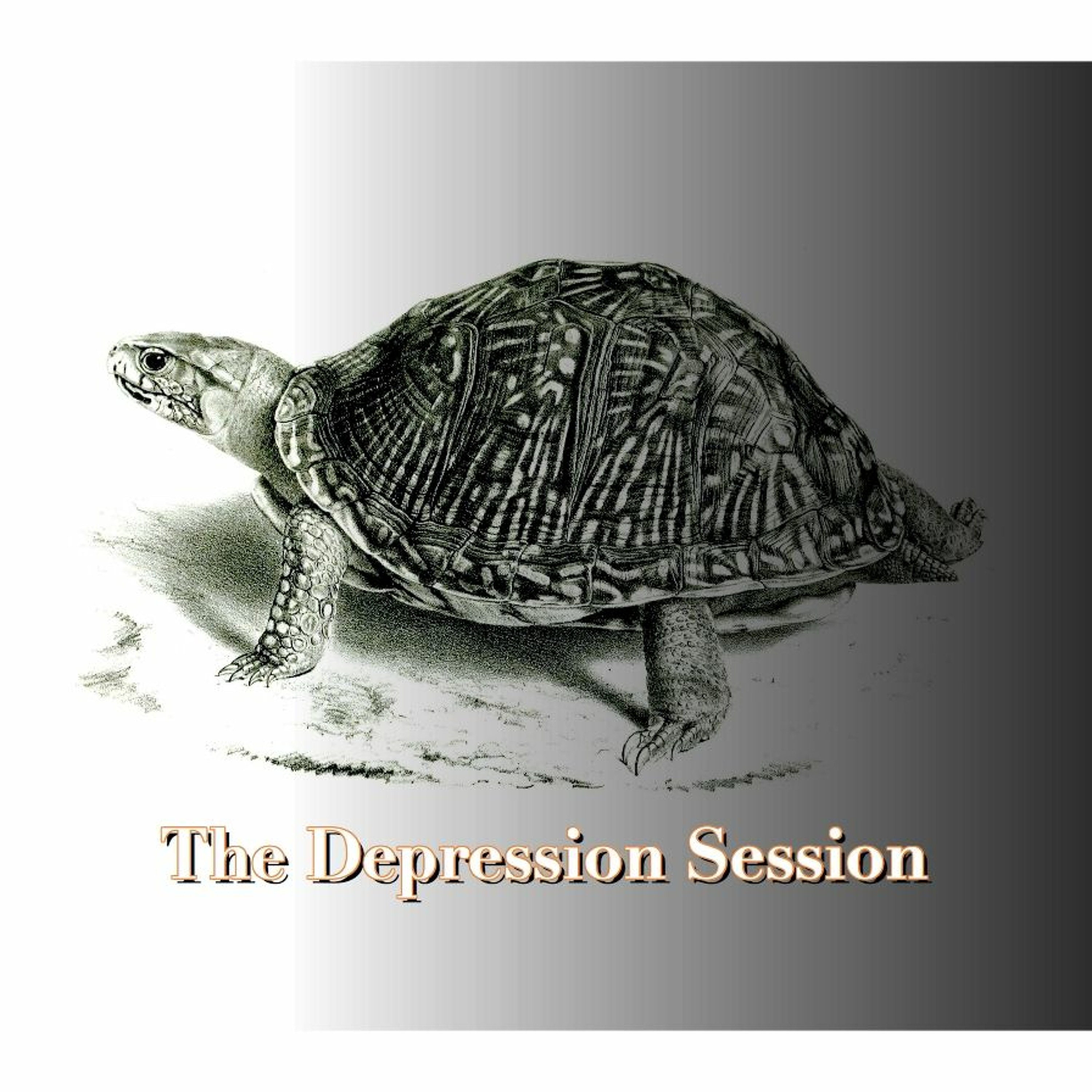 The Depression Session