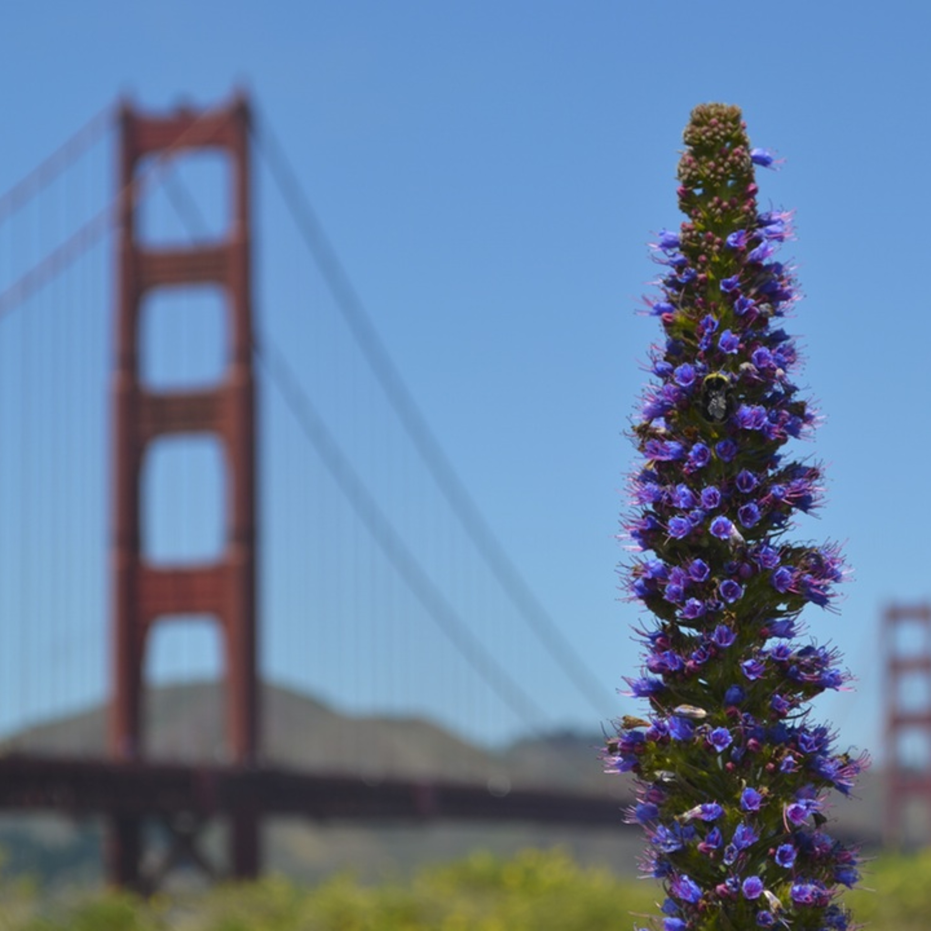 Emojis, nerd face and ghosts: 36 questions in San Francisco