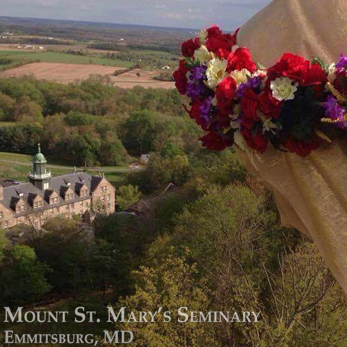 Fr. Dave Heney - Evangelization