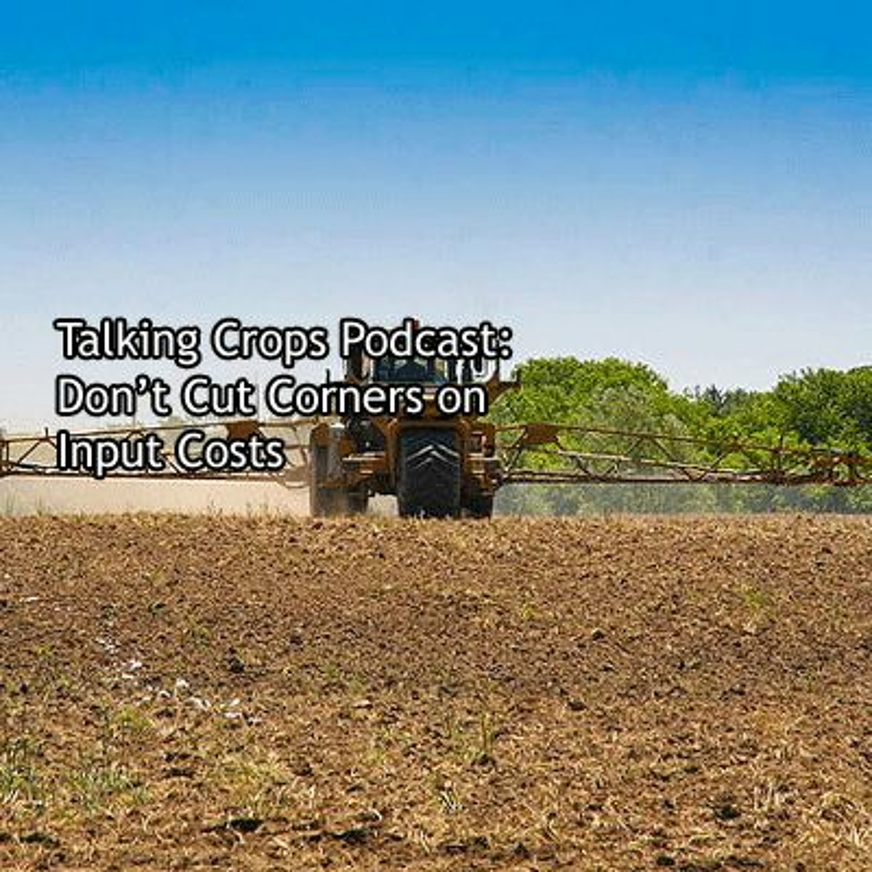 Don't Cut Corners on Input Costs - Michael Gunderson