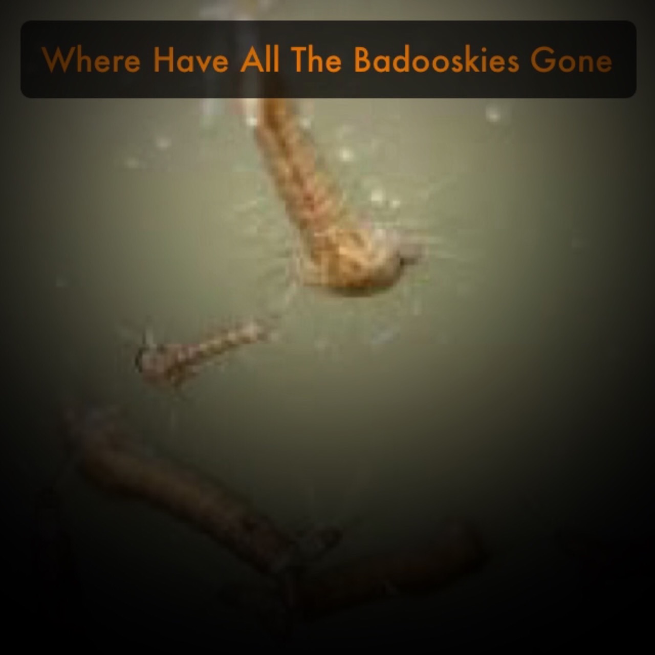 Where Have All The Badooskies Gone