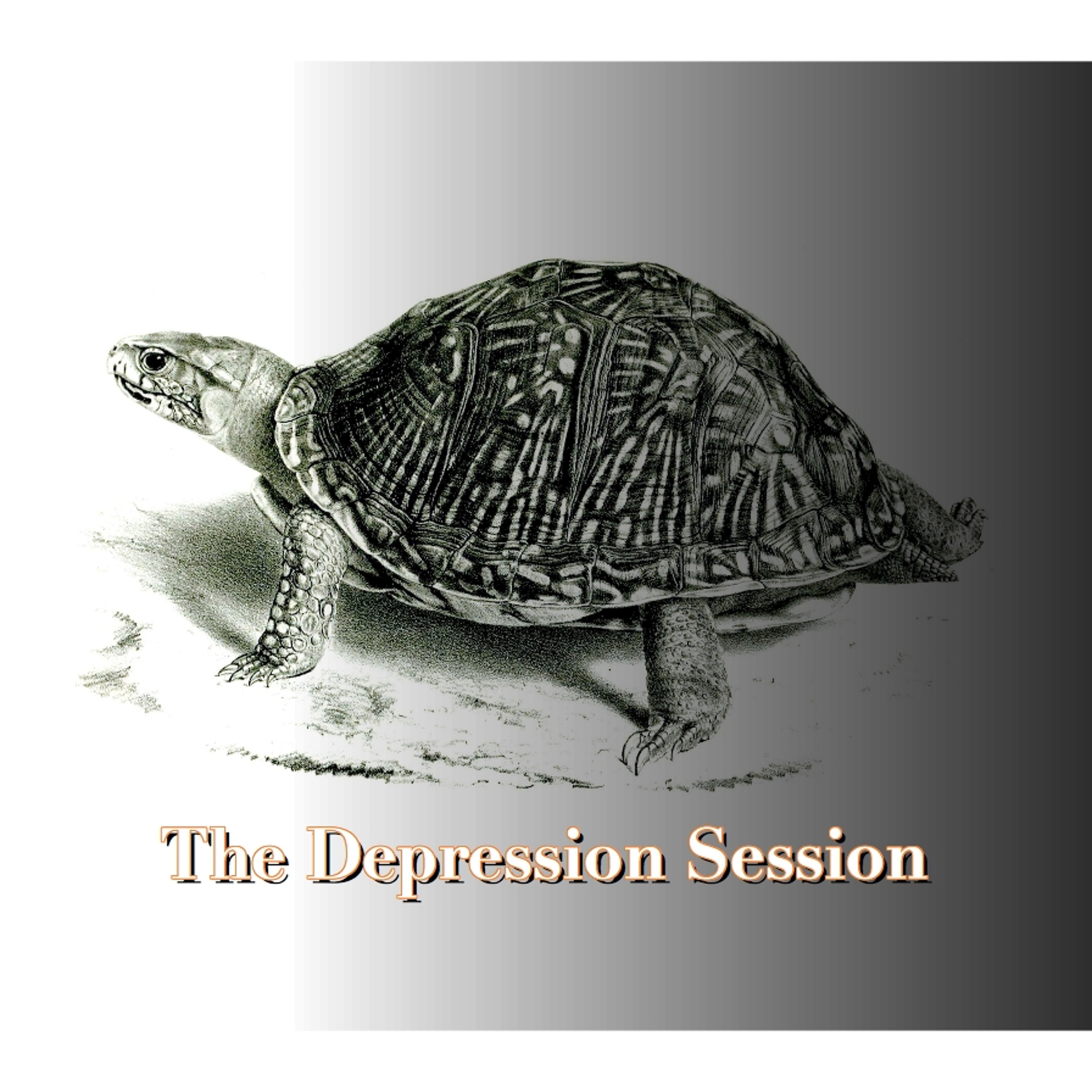 The Depression Session