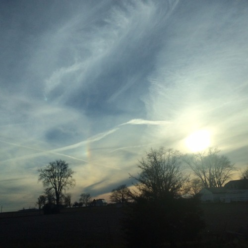 For an Album x Adrienne Rich For an Album x Adrienne Rich