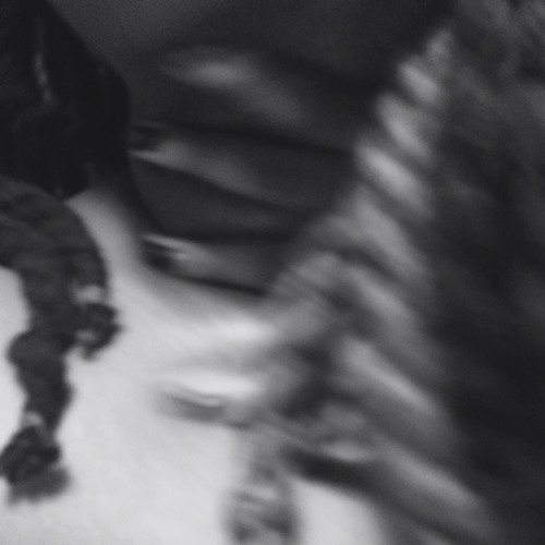 A Brief History of Love Part XXVI x Leigh Stein A Brief History of Love Part XXVI x Leigh Stein