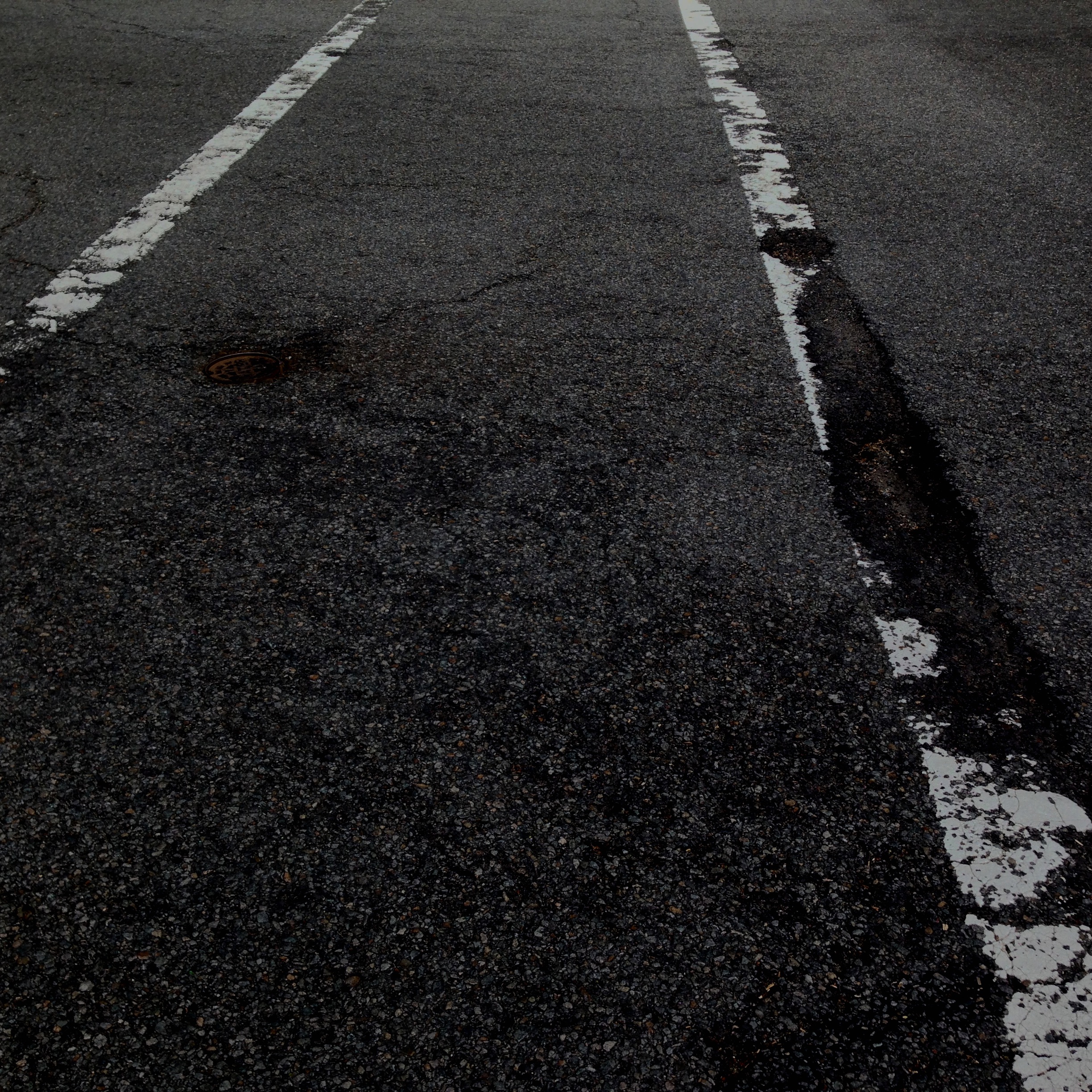 Lisa Panepinto - Red Flag Interview