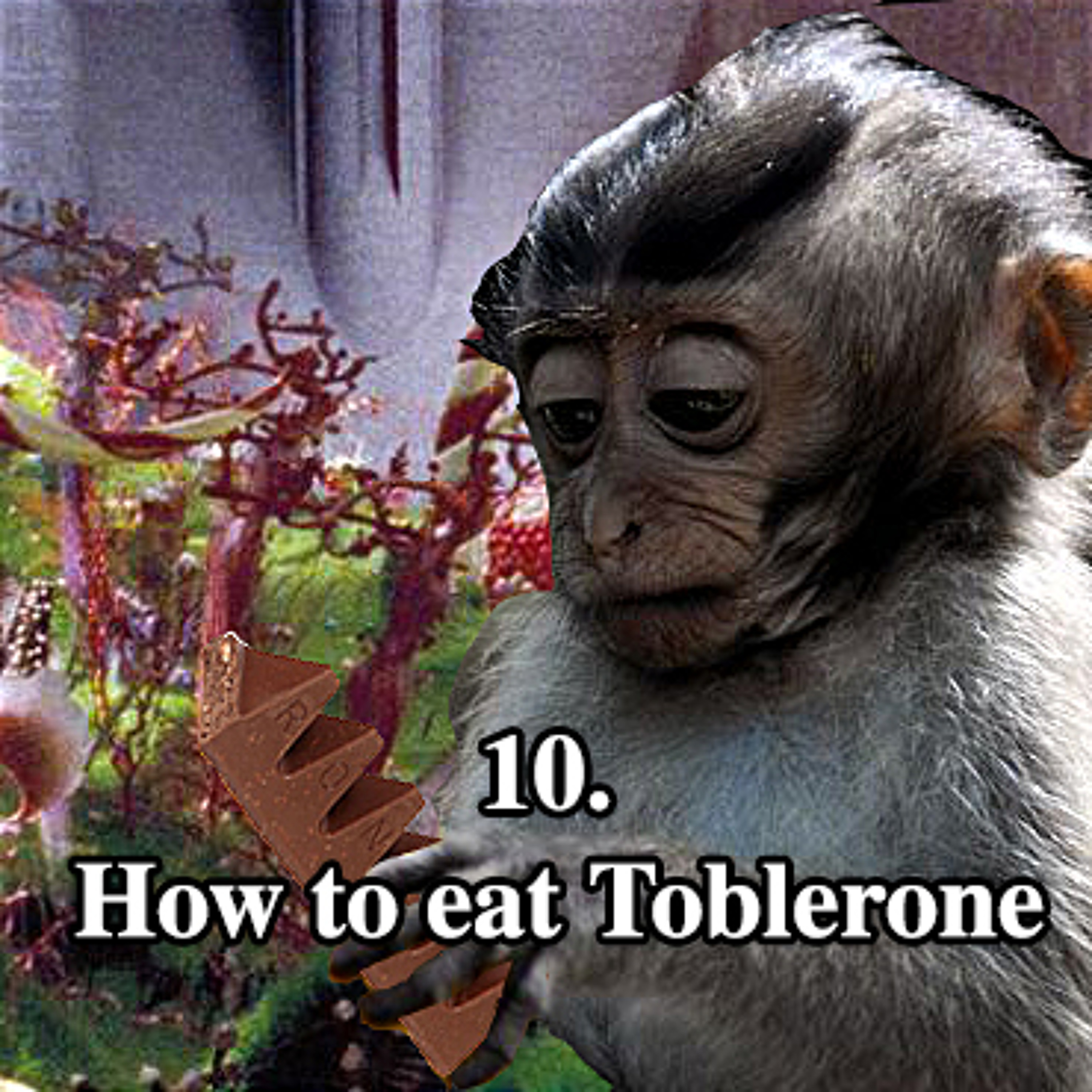 10. How to eat Toblerone