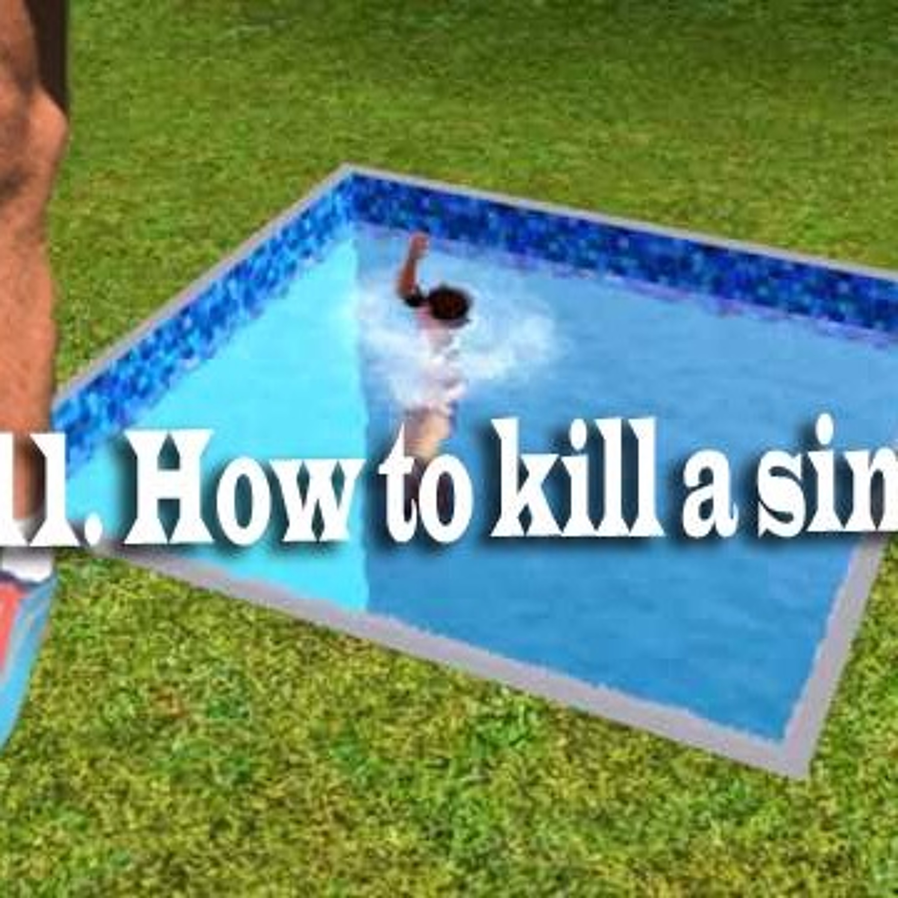 11. How to kill a sim