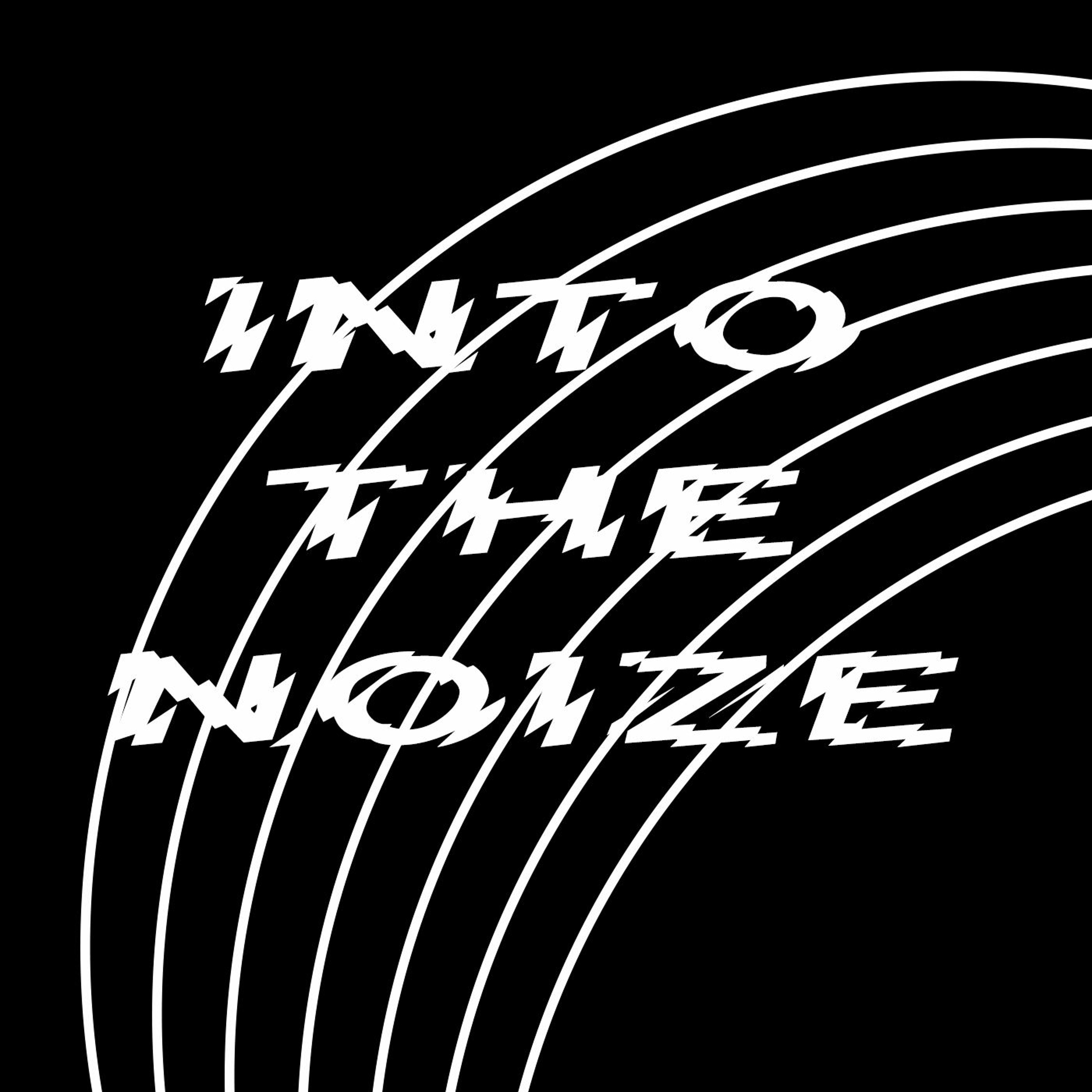 Into The Noize