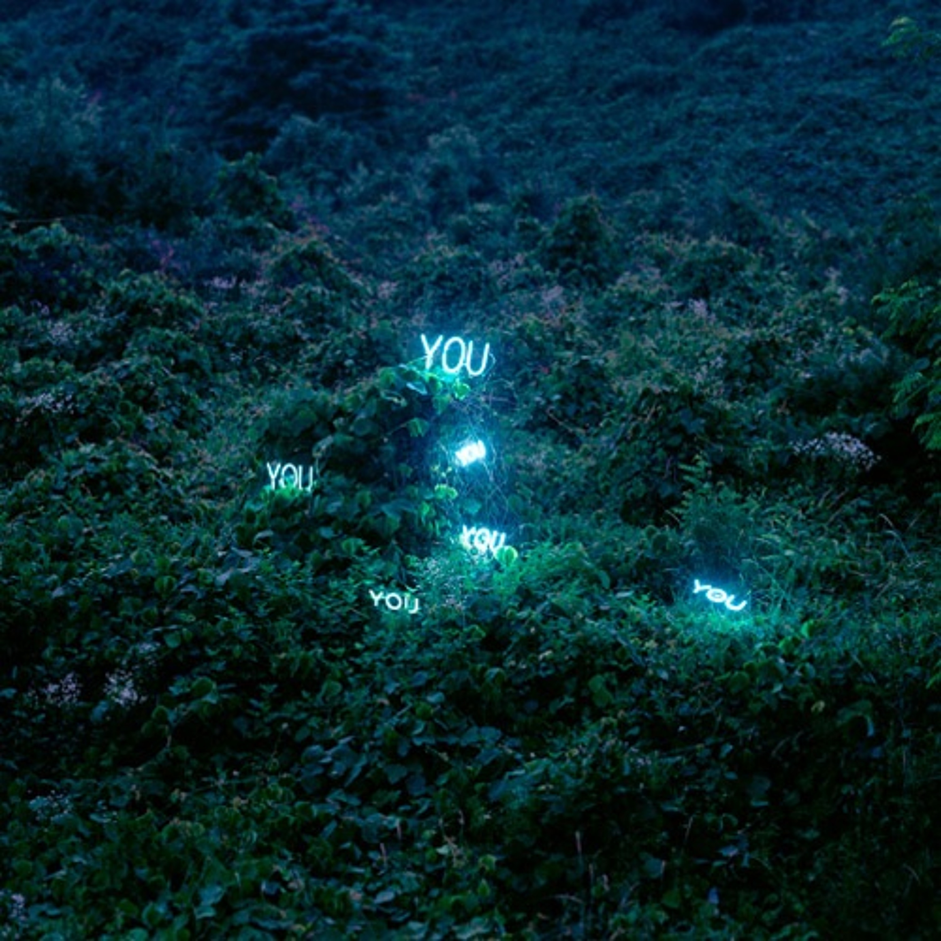 Invisible/Visible