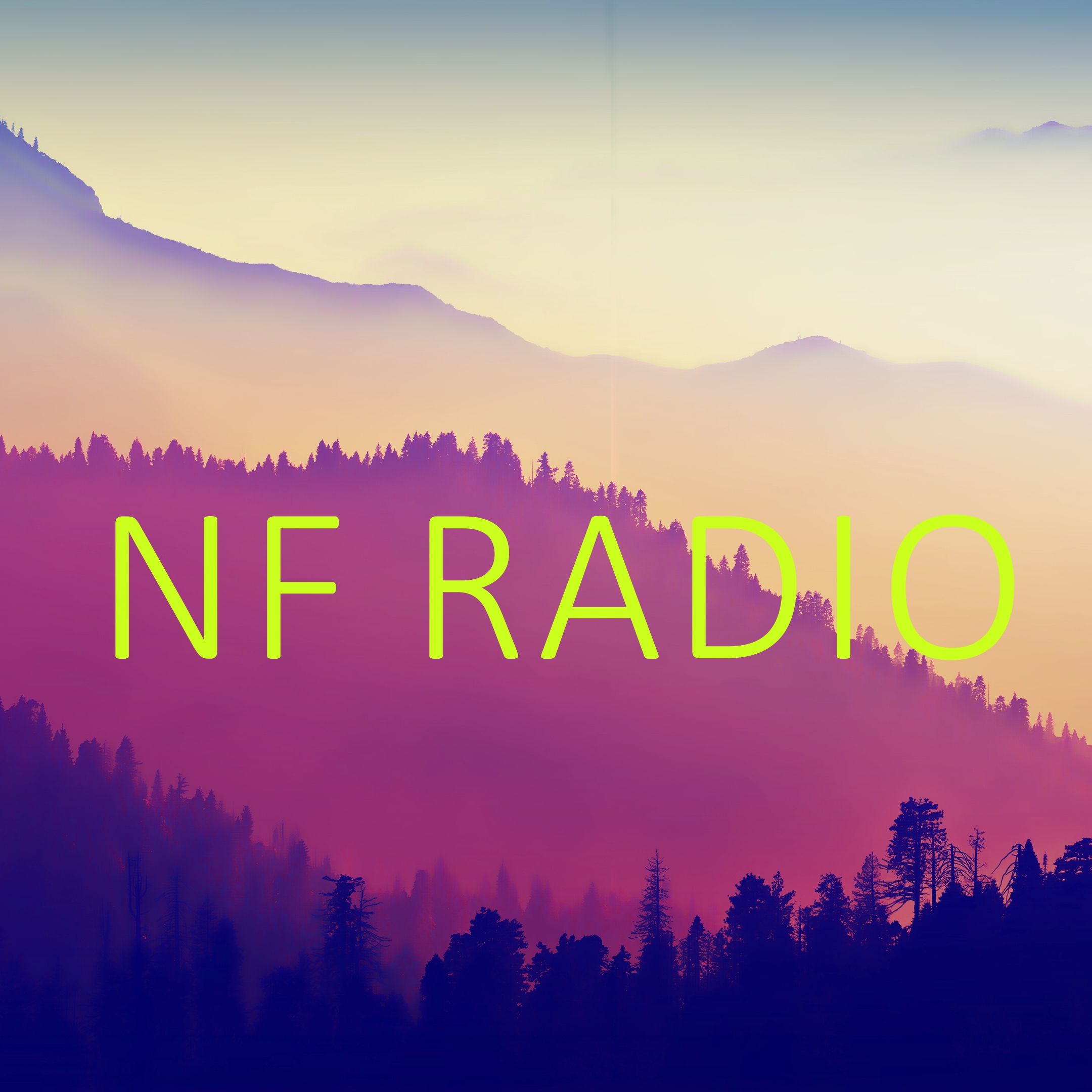 NF RADIO #1