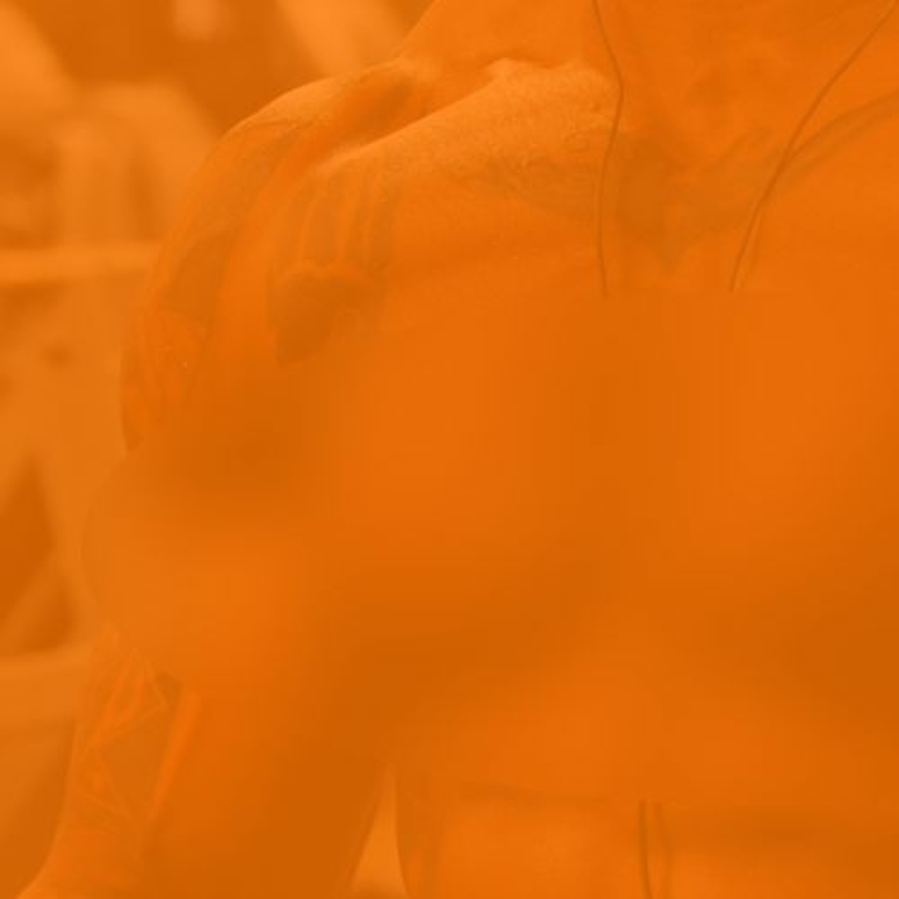 Dialogika Podcast
