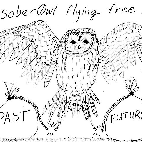 Hoot Hiatus