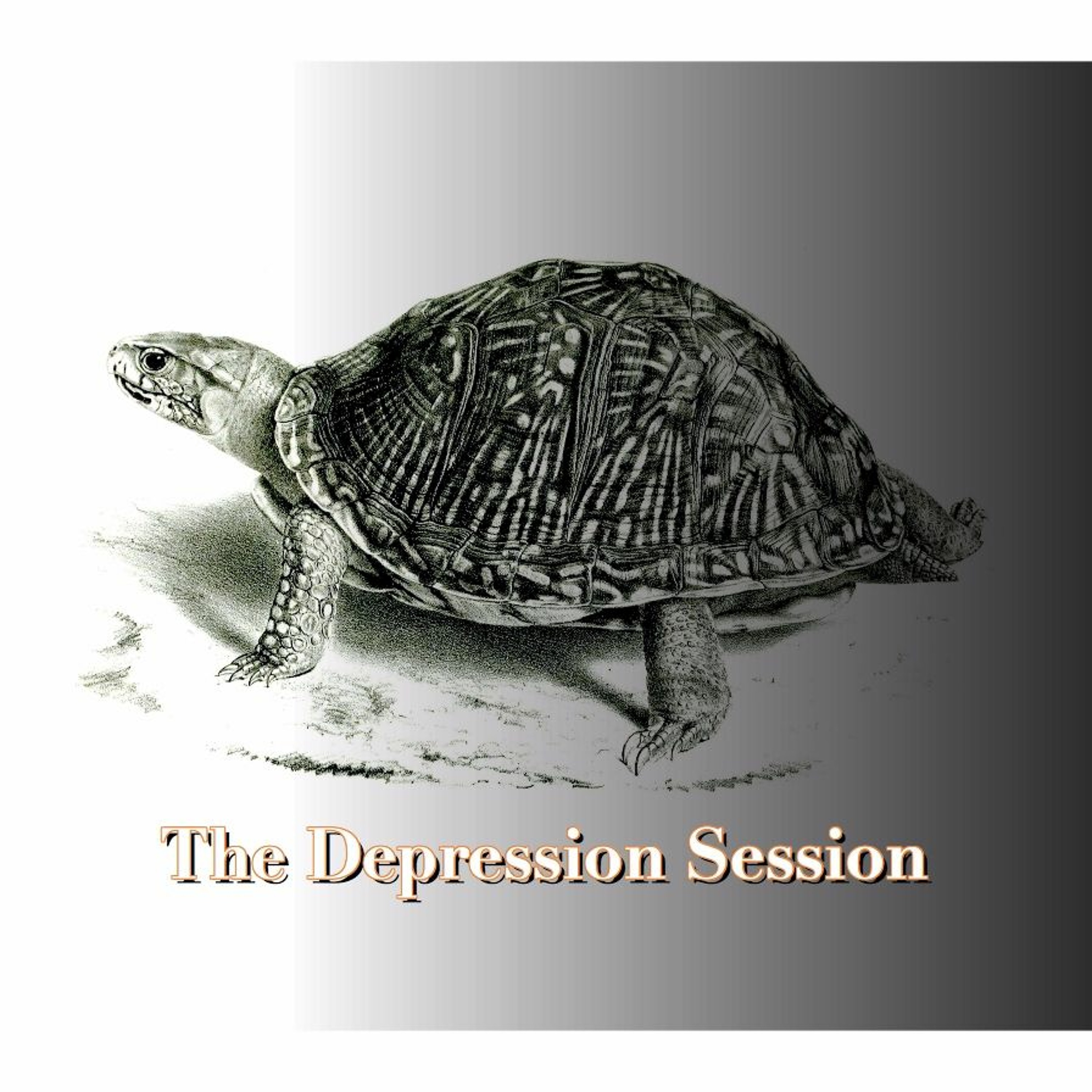 The Depression Session