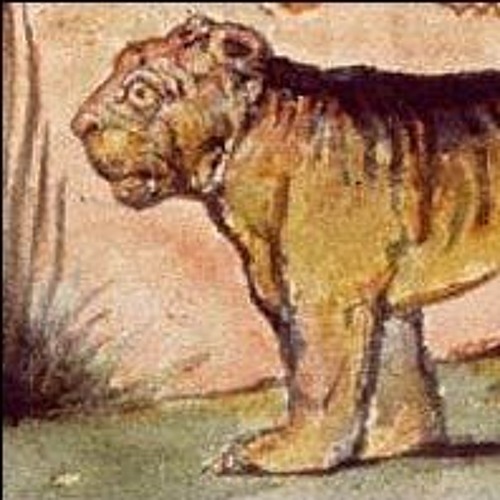 essay in relation to this tyger analysis essay pertaining to the particular tyger analysis