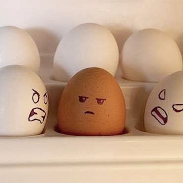 Episode 7: Penche Huevos