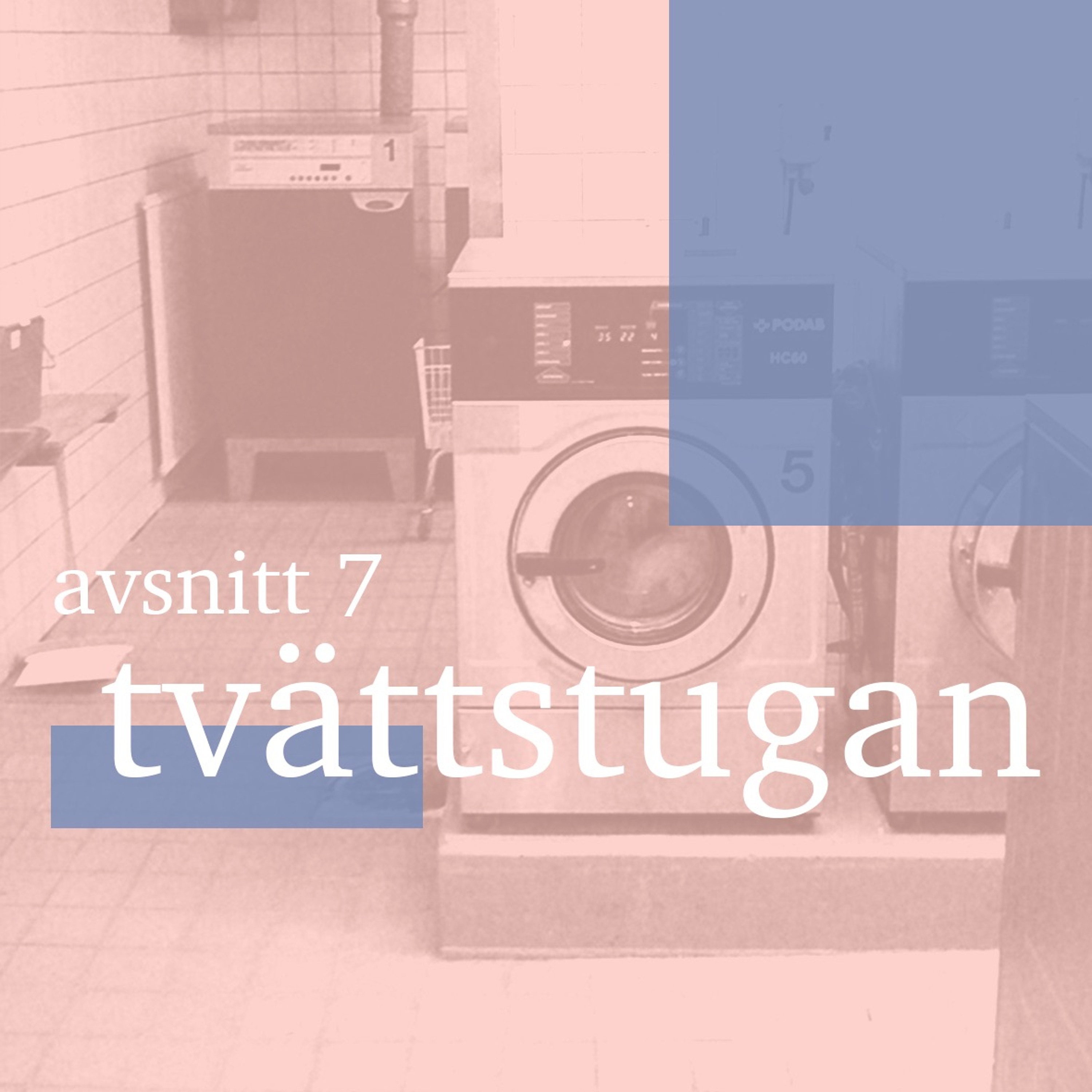 Avsnitt 7 - Tvättstugan