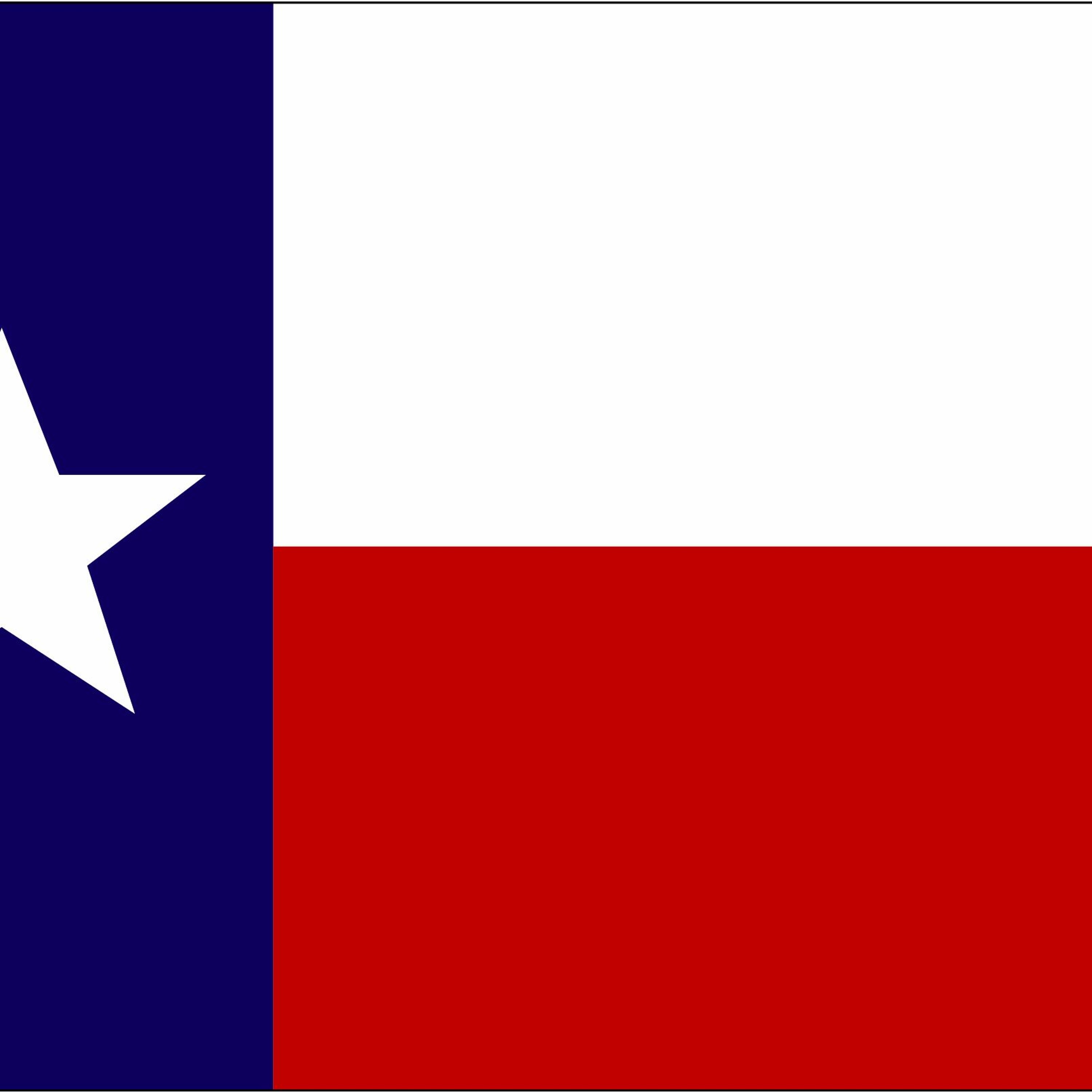 02 - Texas Companion - Gun Laws