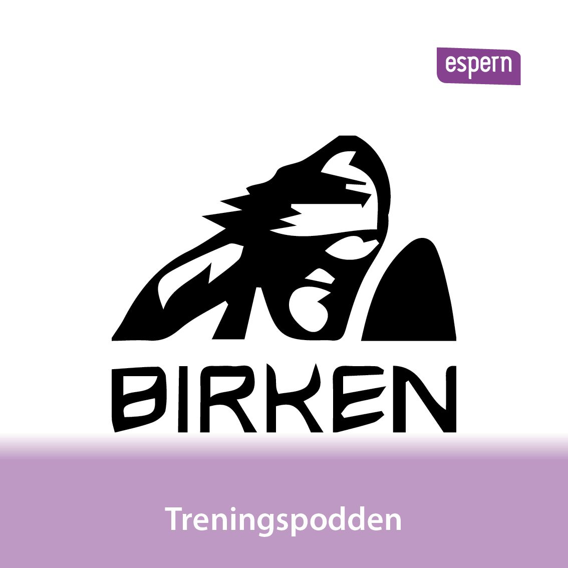 Episode 17: Birkebeinerløpet spesial