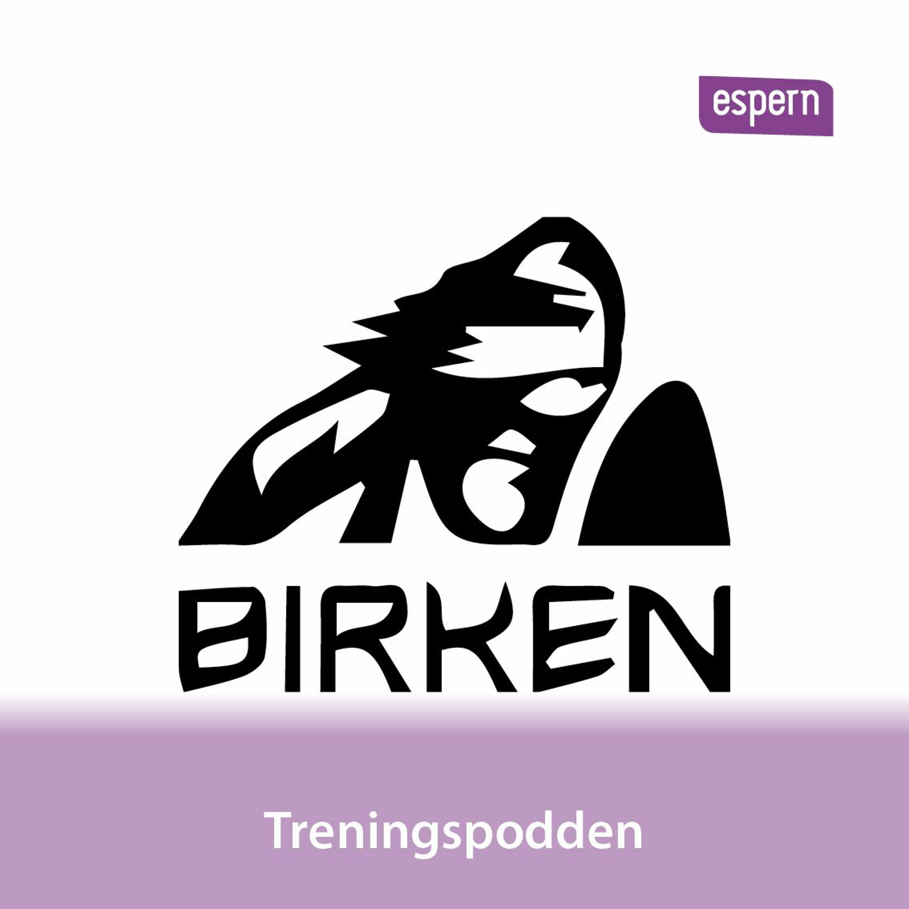 Episode 17: Birkebeinerløpet spesial