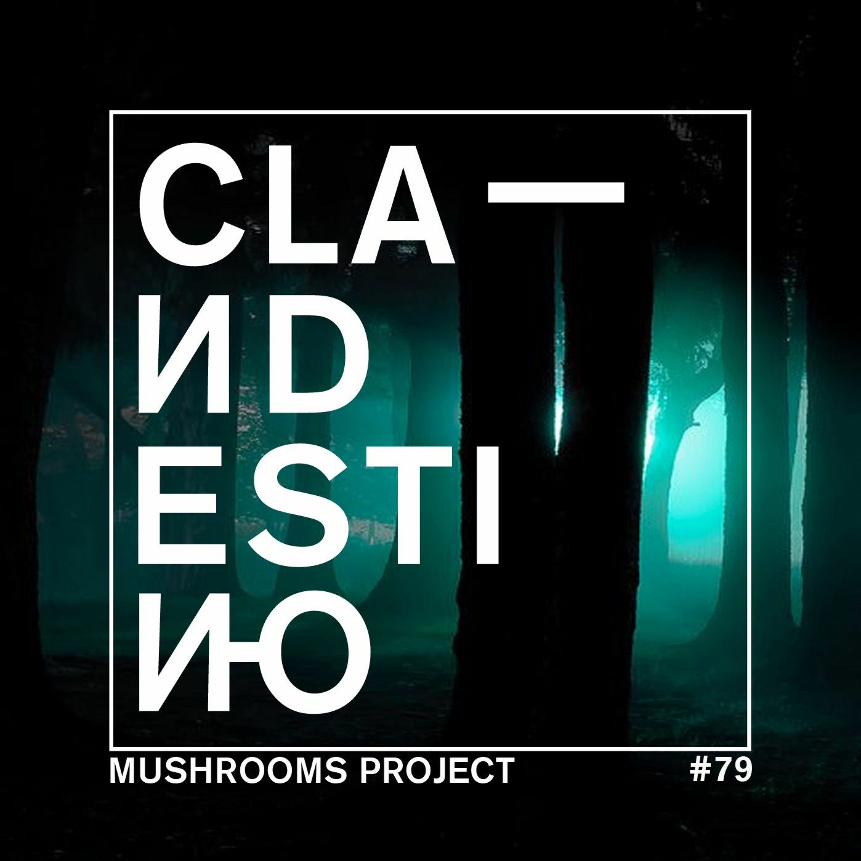 Clandestino.