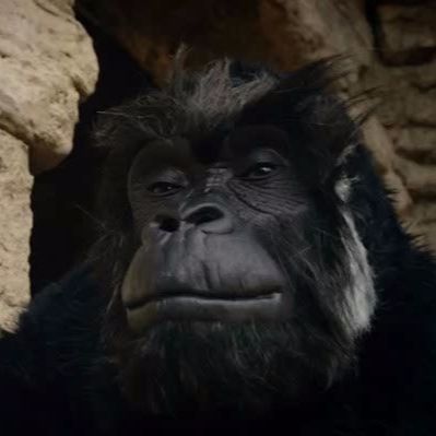 Zoombies! Fun, Furry... Awful