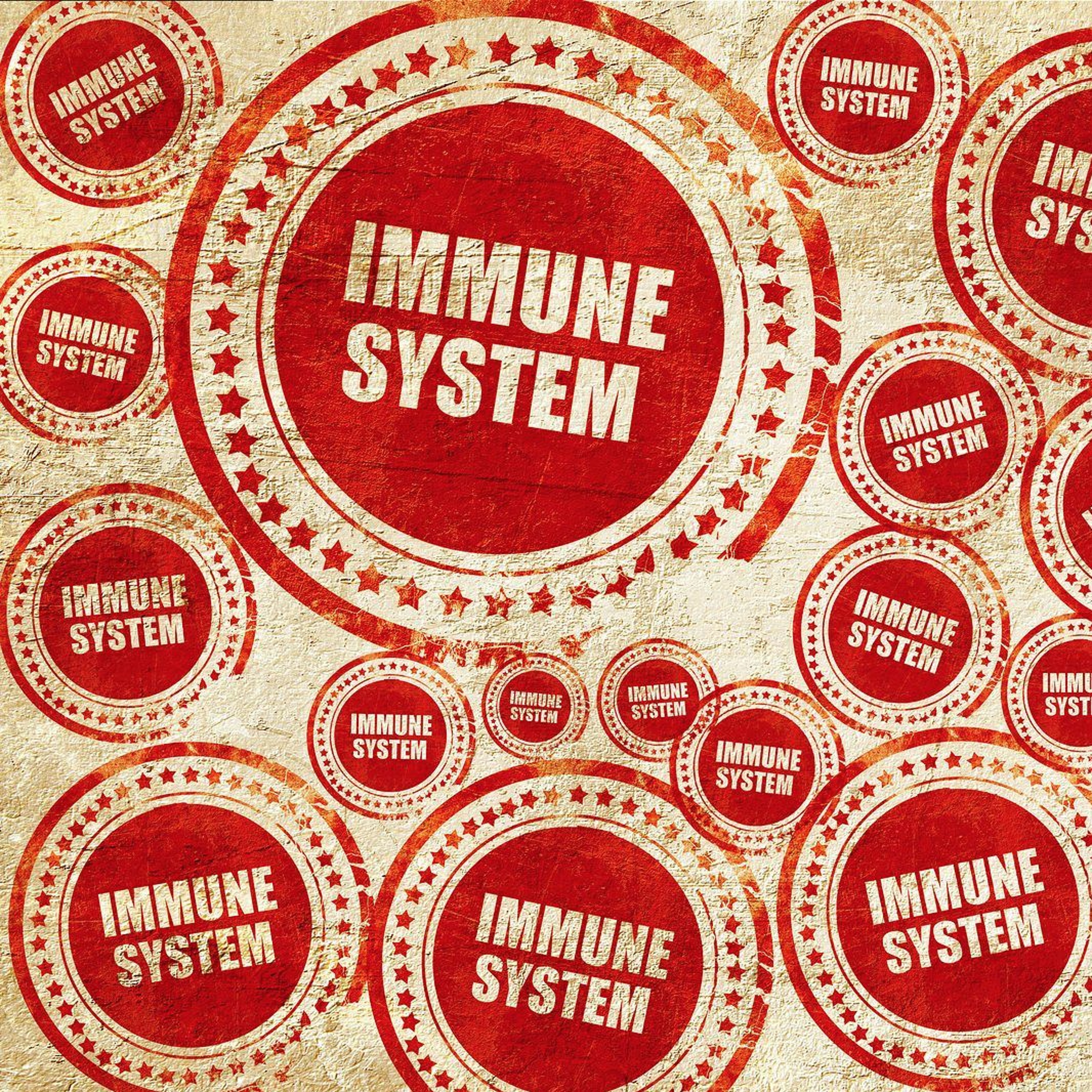 Strengthen Your Immune System - Radio Show Archive