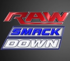 Capítulo 15: Las mejores luchas de RAW y Smackdown! en la era de división de marcas Capítulo 15: Las mejores luchas de RAW y Smackdown! en la era de división de marcas