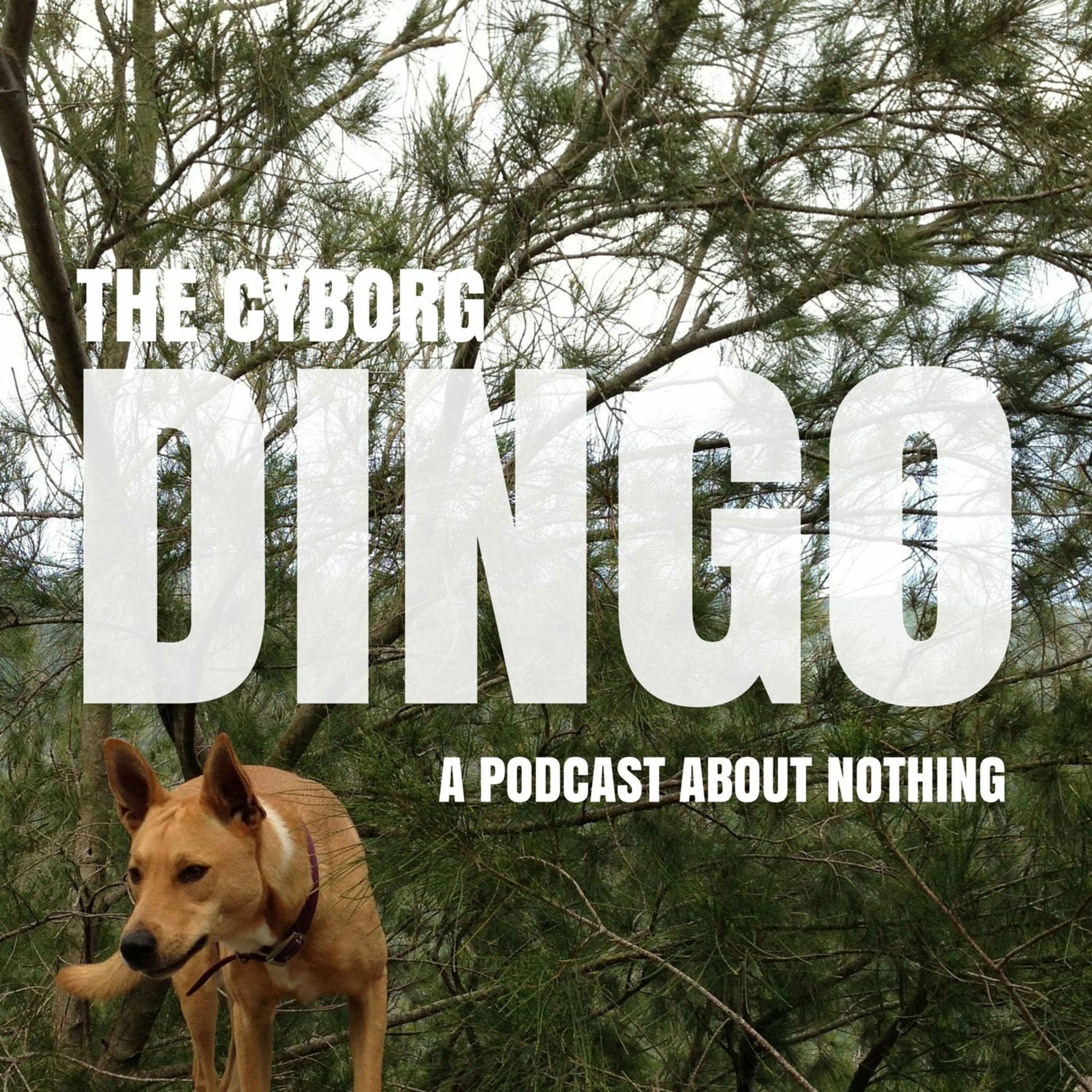 The Cyborg Dingo Podcast