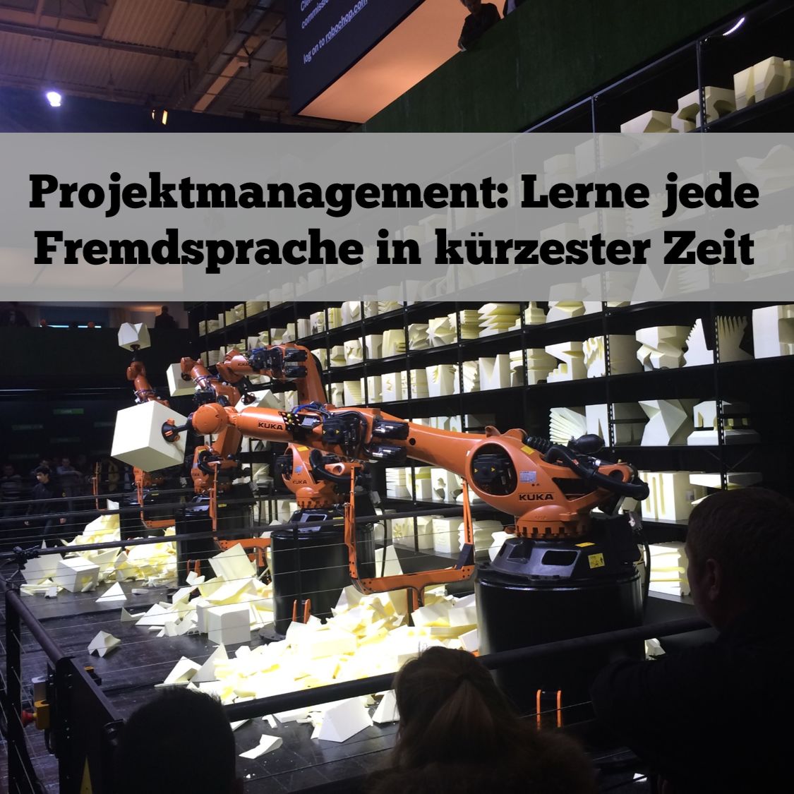 Projektmanagement: Eine Sprache wirklich bis zum Ende lernen