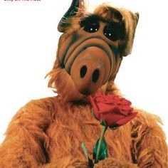 Broses Before Roses - Entitled Alf