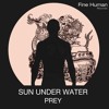 Sun Under Water - Prey - Dino Lenny Rmx