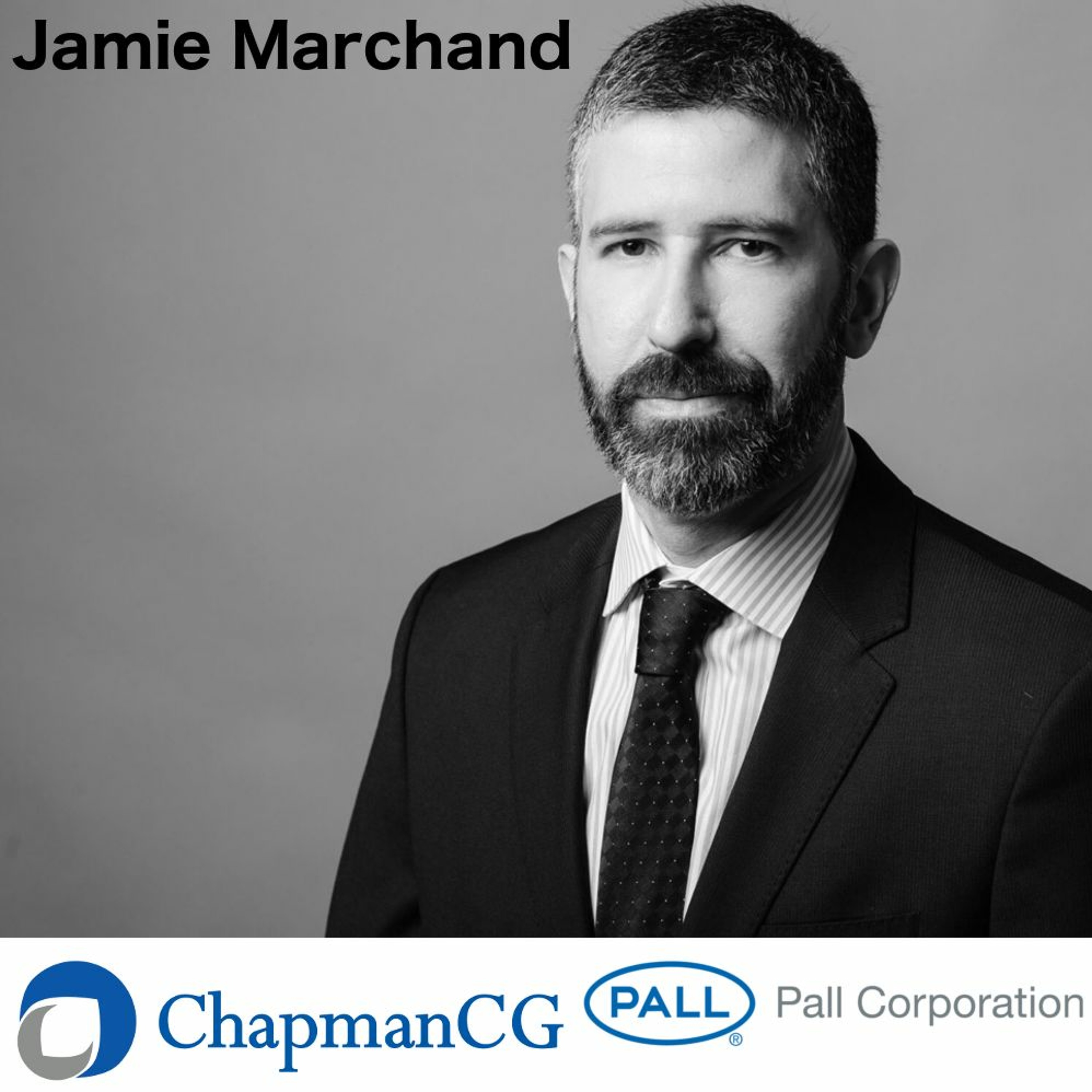 ChapmanCG Global HR Interviews