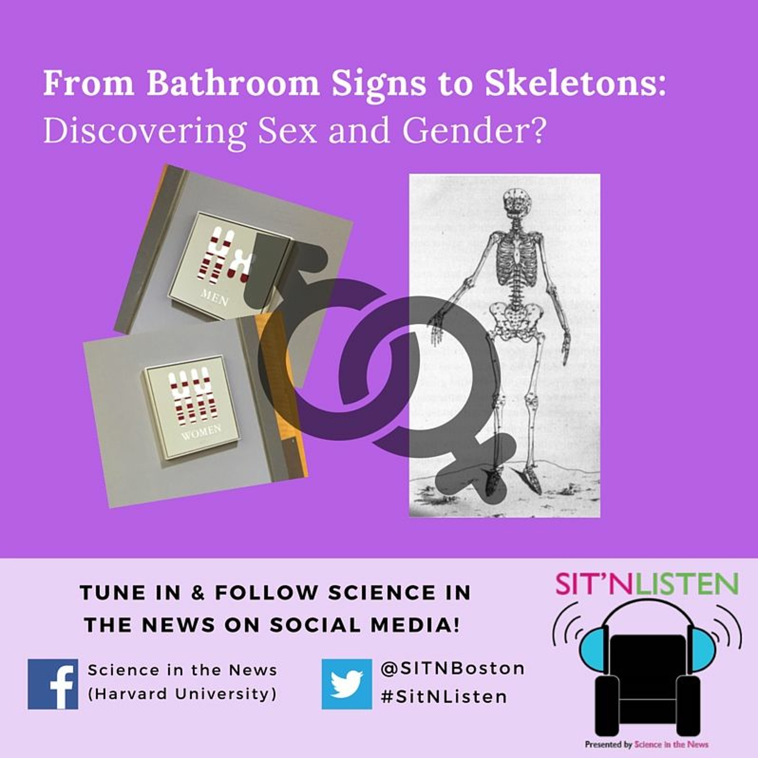 Sit'N Listen! Episode 8: Discovering Sex and Gender?