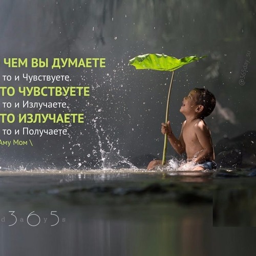 Аму мом-все его цитаты Аму мом-все его цитаты