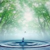Natur