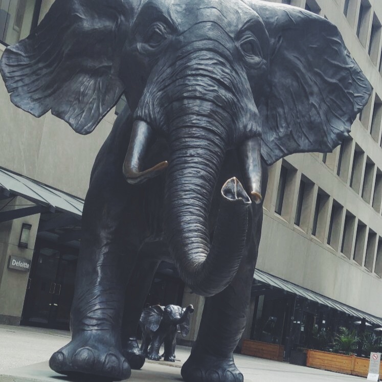 EPISODE 20; A SEASONAL MIND EPISODE 20; A SEASONAL MIND