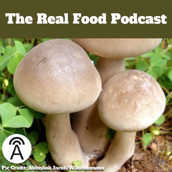 #35: Monsoon Foods of Western India