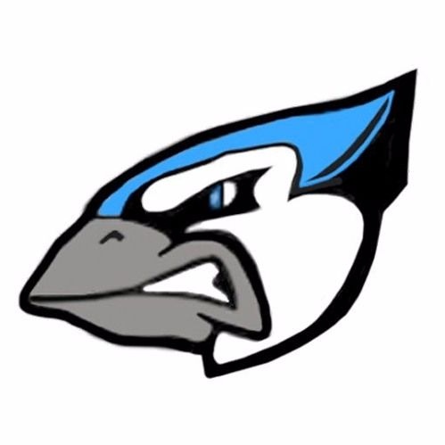Blue Jays Break #4 - Welcome back Dioner!