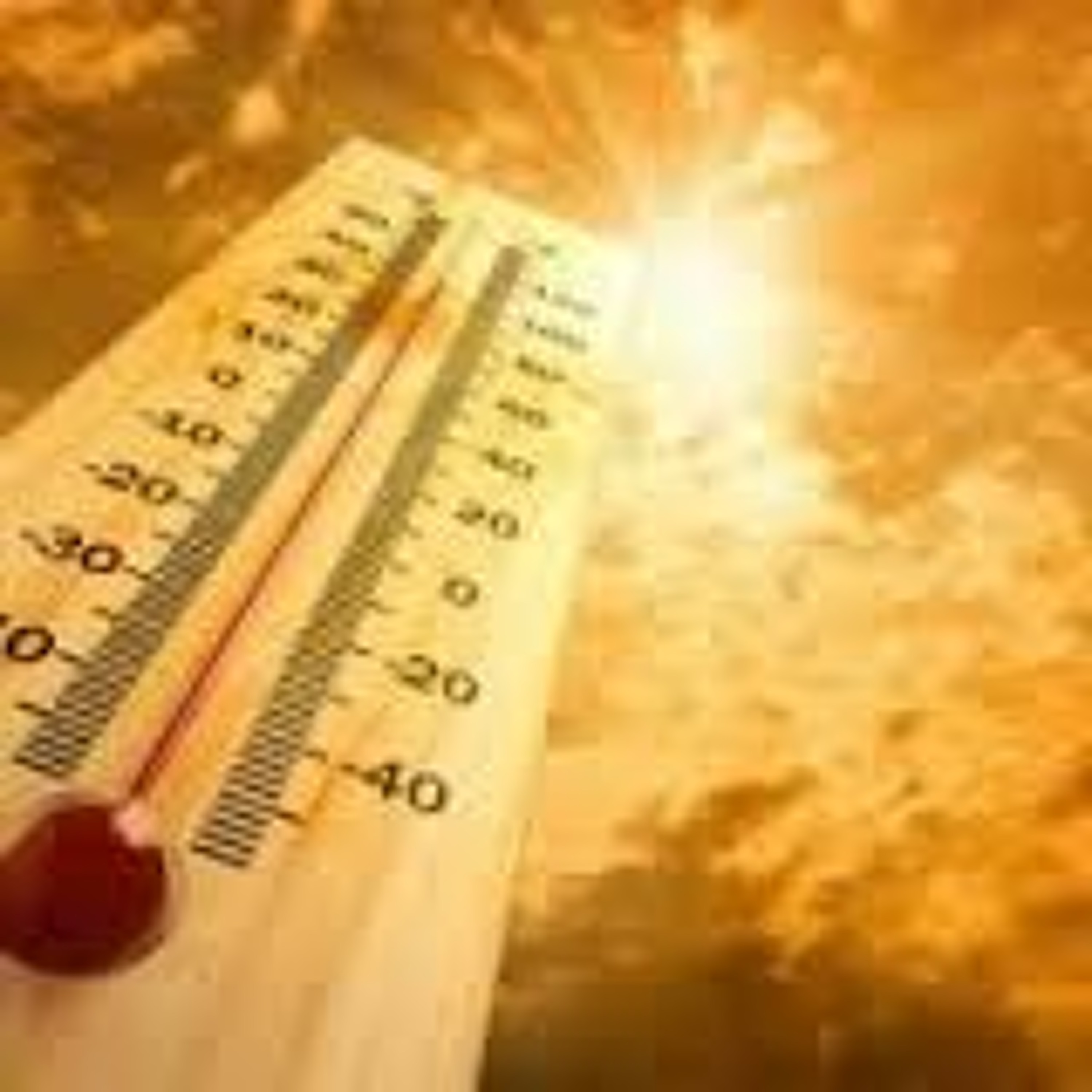 07 - The Texas Companion - Summer Heat